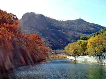 新澳门二四六天天彩，北京地板打蜡